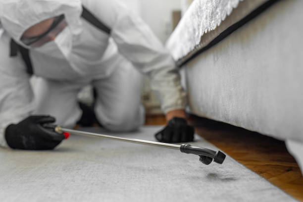 Professional Bed Bug Control technician working in Lincolnshire, IL