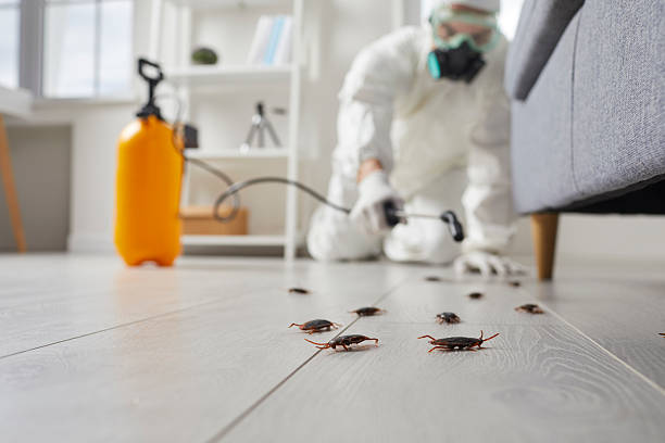 Trusted Mosquito Control service in Lincolnshire, IL - Nex Pest Control
