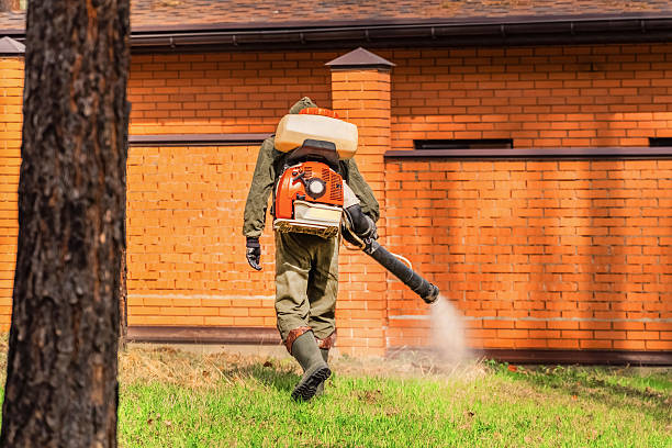 Trusted Rodent Control service in Lincolnshire, IL - Nex Pest Control